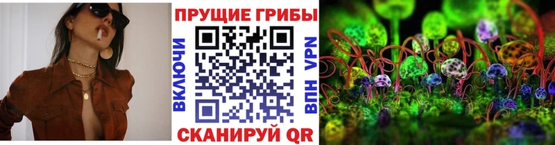 Псилоцибиновые грибы Cubensis  где купить наркоту  Воронеж 